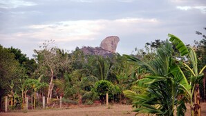 Un paisaje natural con una formación rocosa destacada, vegetación densa y una cerca en primer plano.