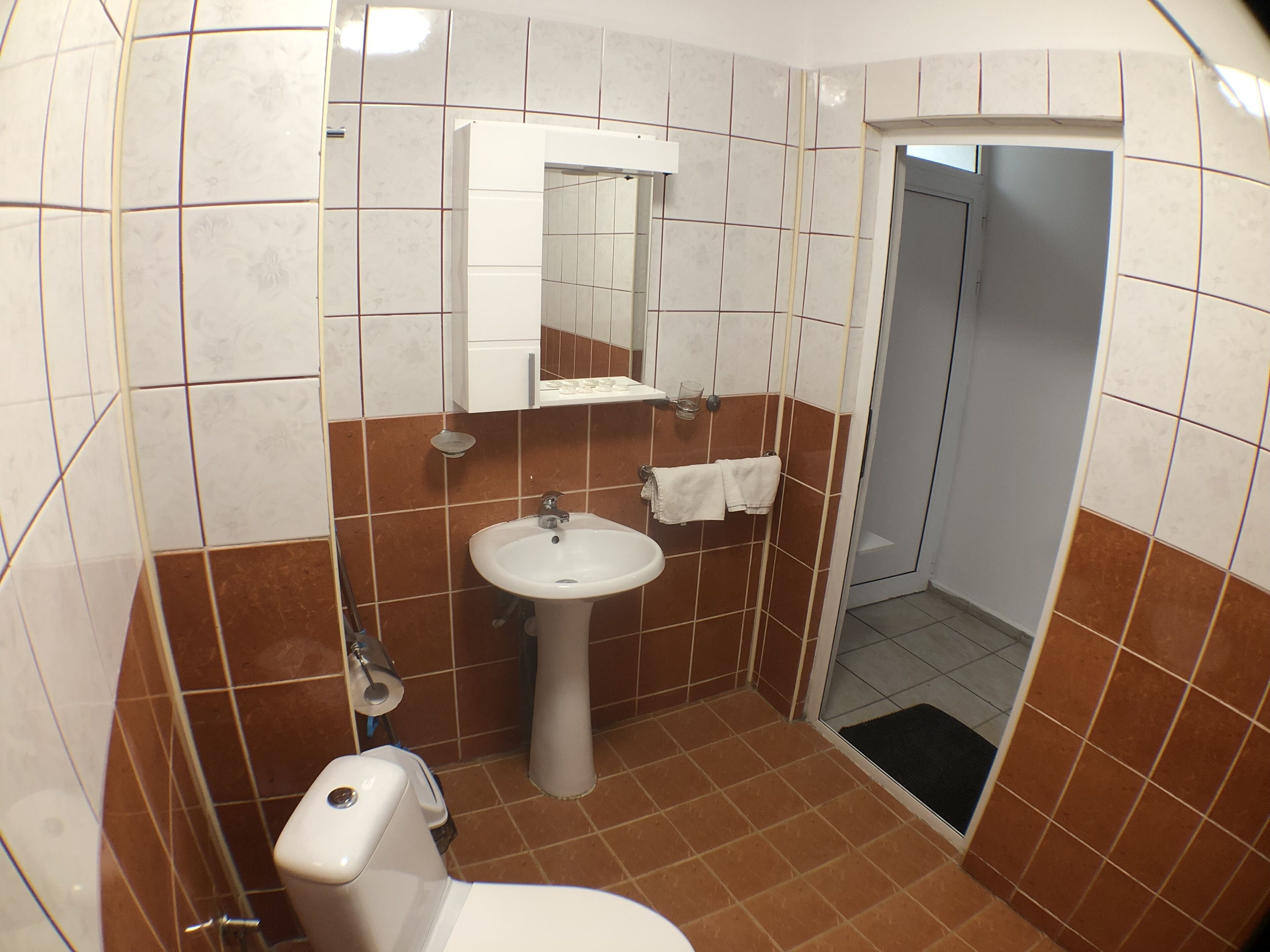 A bathroom with a white sink, a mirror above it, and a toilet.