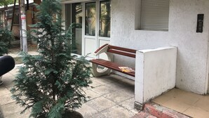 إطلالة على الفناء
