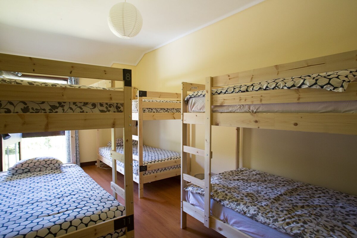 宿舍 (Multiple Beds Dorm 2)