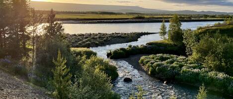 Une rivière qui traverse un paysage naturel, bordée de végétation et avec des montagnes qui se dessinent à l’horizon.