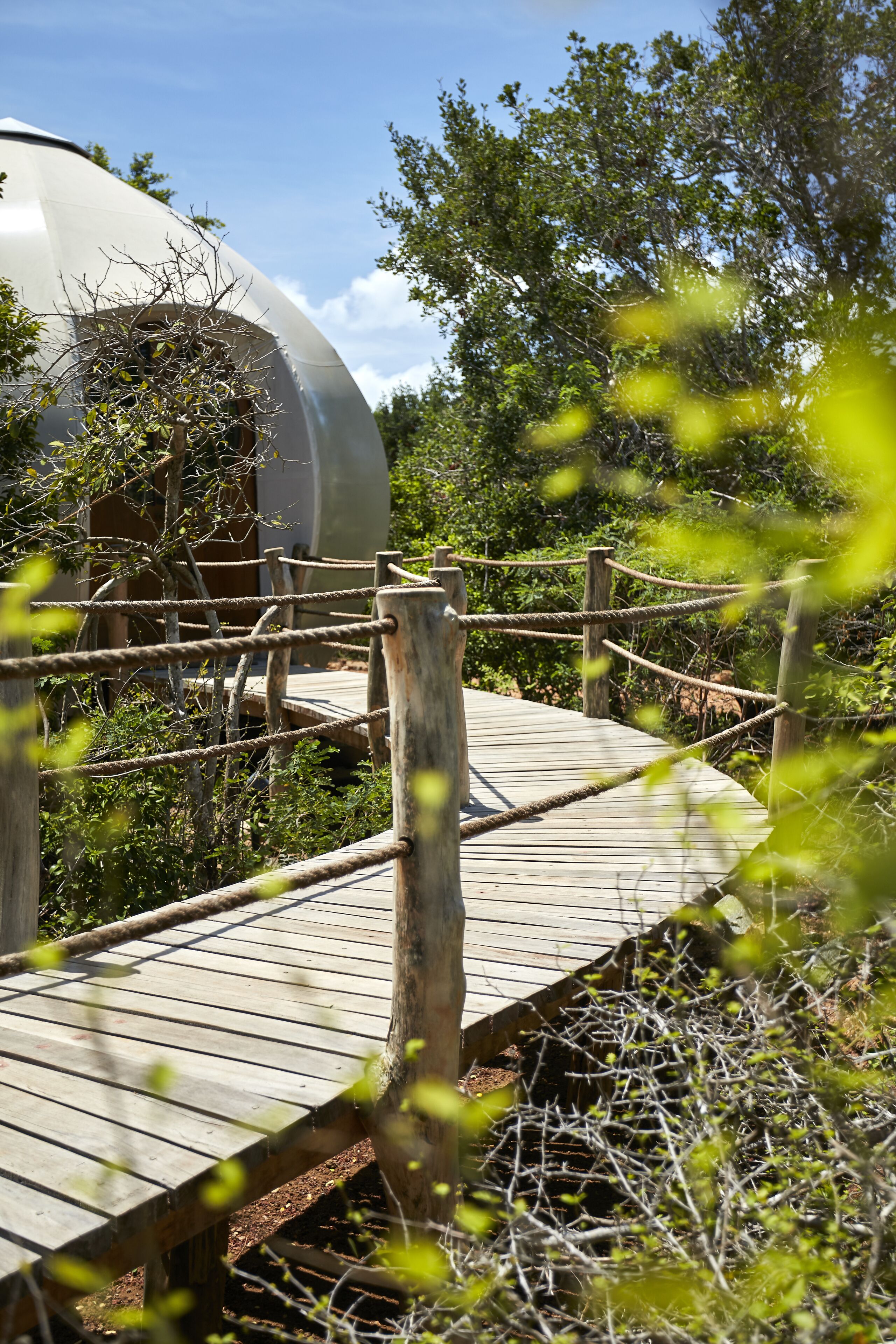 A wooden bridge leading to a large, dome-like structure surrounded by trees.