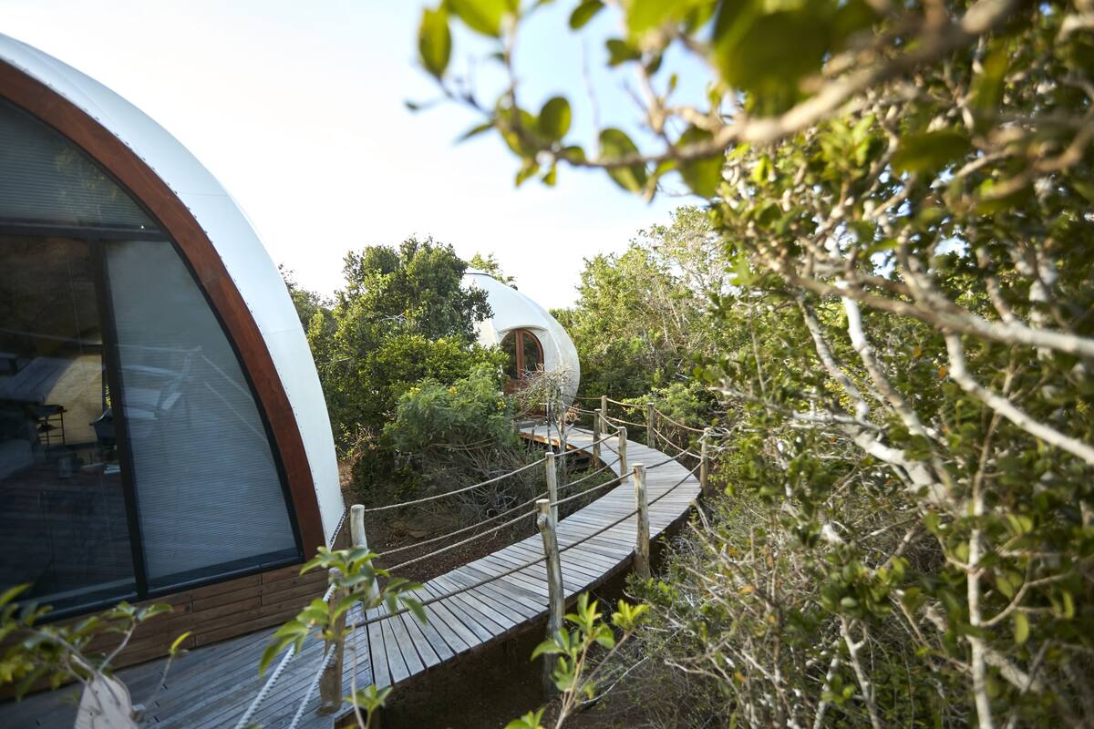 Alojamiento tipo cápsula, moderno y ecológico, ubicado en un bosque y conectado por un puente de madera.