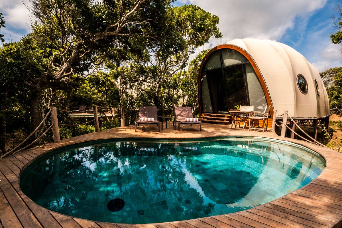 Un alojamiento en forma de cúpula con piscina y sillones de playa, rodeado de árboles.