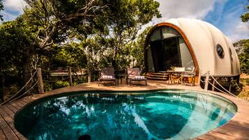 Premium bedding, minibar, in-room safe, individually decorated