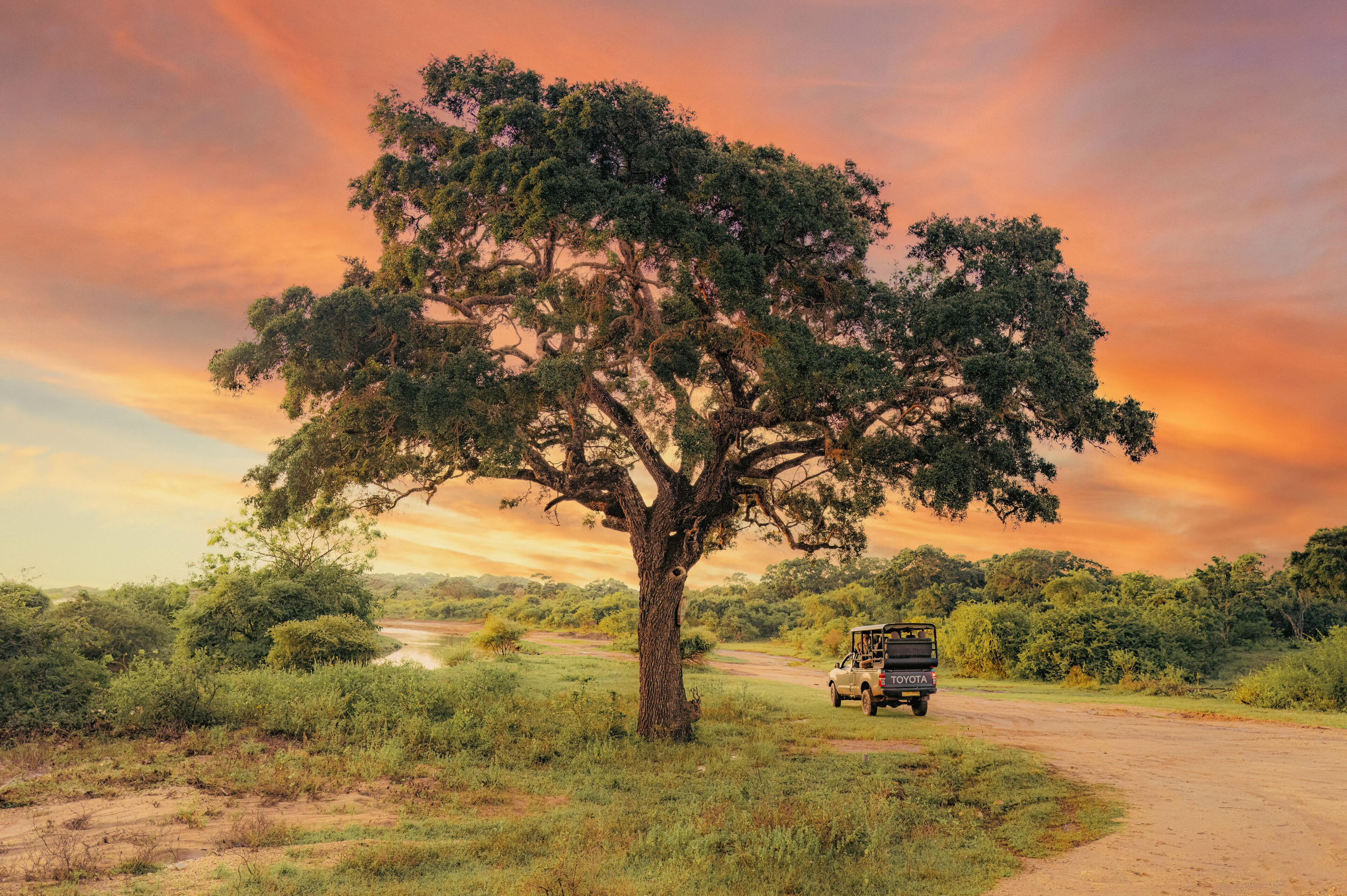 A Toyota vehicle on a dirt road with a large tree in the foreground and a sunset in the background.