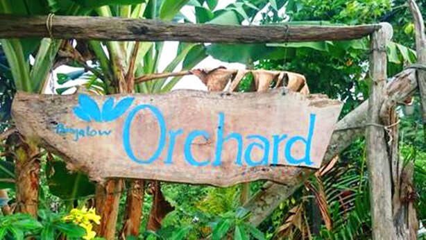 A wooden sign with the text "Banjalow Orchard" amidst lush greenery and a wooden structure. - Orchard Fruit Farm Bungalow (Phu Quoc)