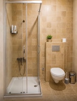 A shower with a glass door, a toilet, and a small plant on the wall.