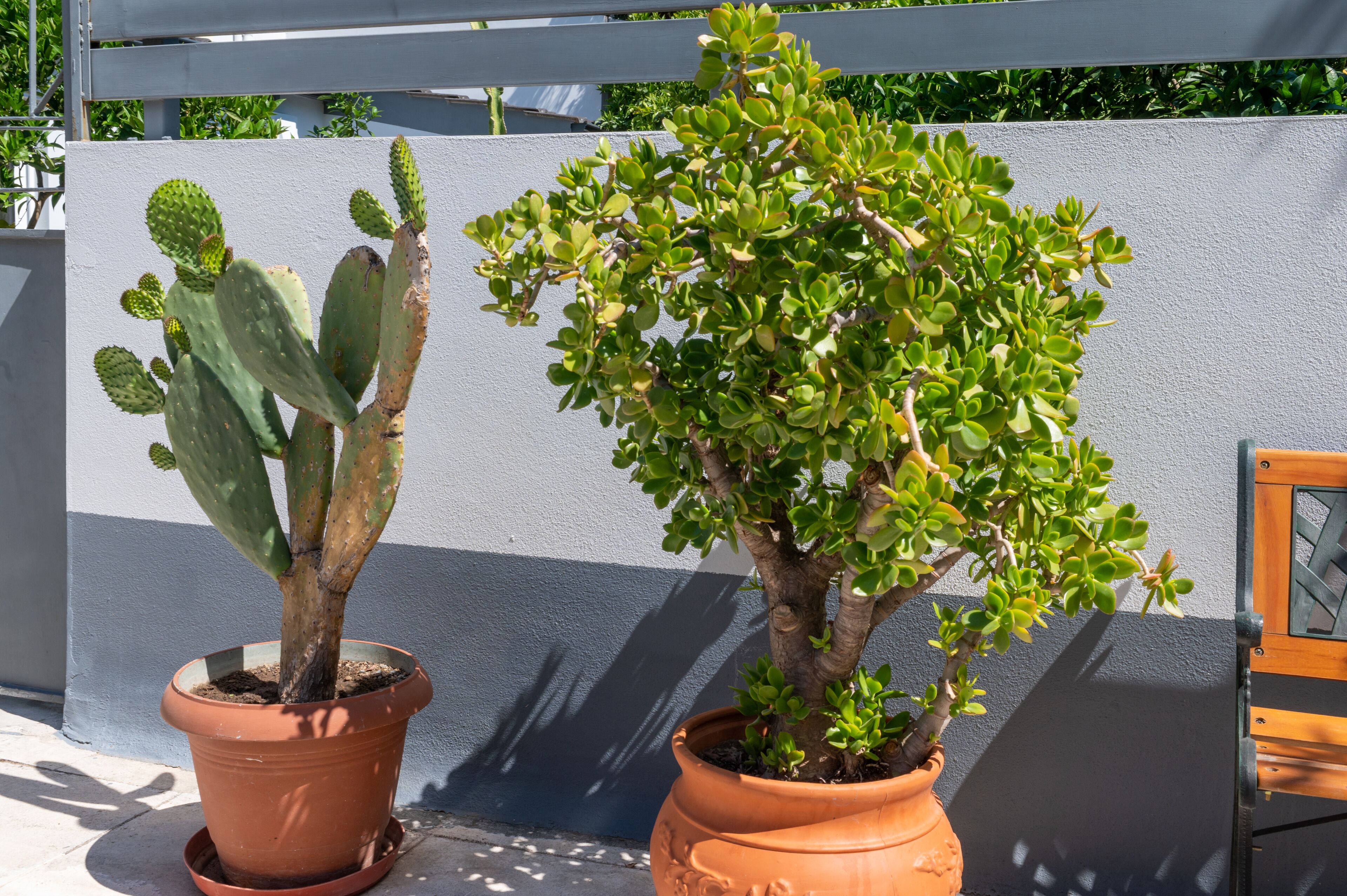 Foto - City Cottage - Kalamata Villas