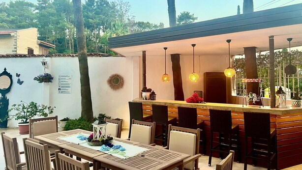 An outdoor dining area with a bar, wooden furniture, hanging plants, and a view of the surrounding trees. - Carikci Hotel - + 16 Adult"s Only  (Marmaris)