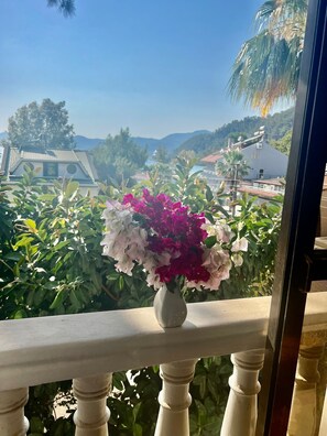 Double or Twin Room | View from room