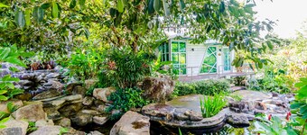 Chalong Hill Tropical Garden Homes