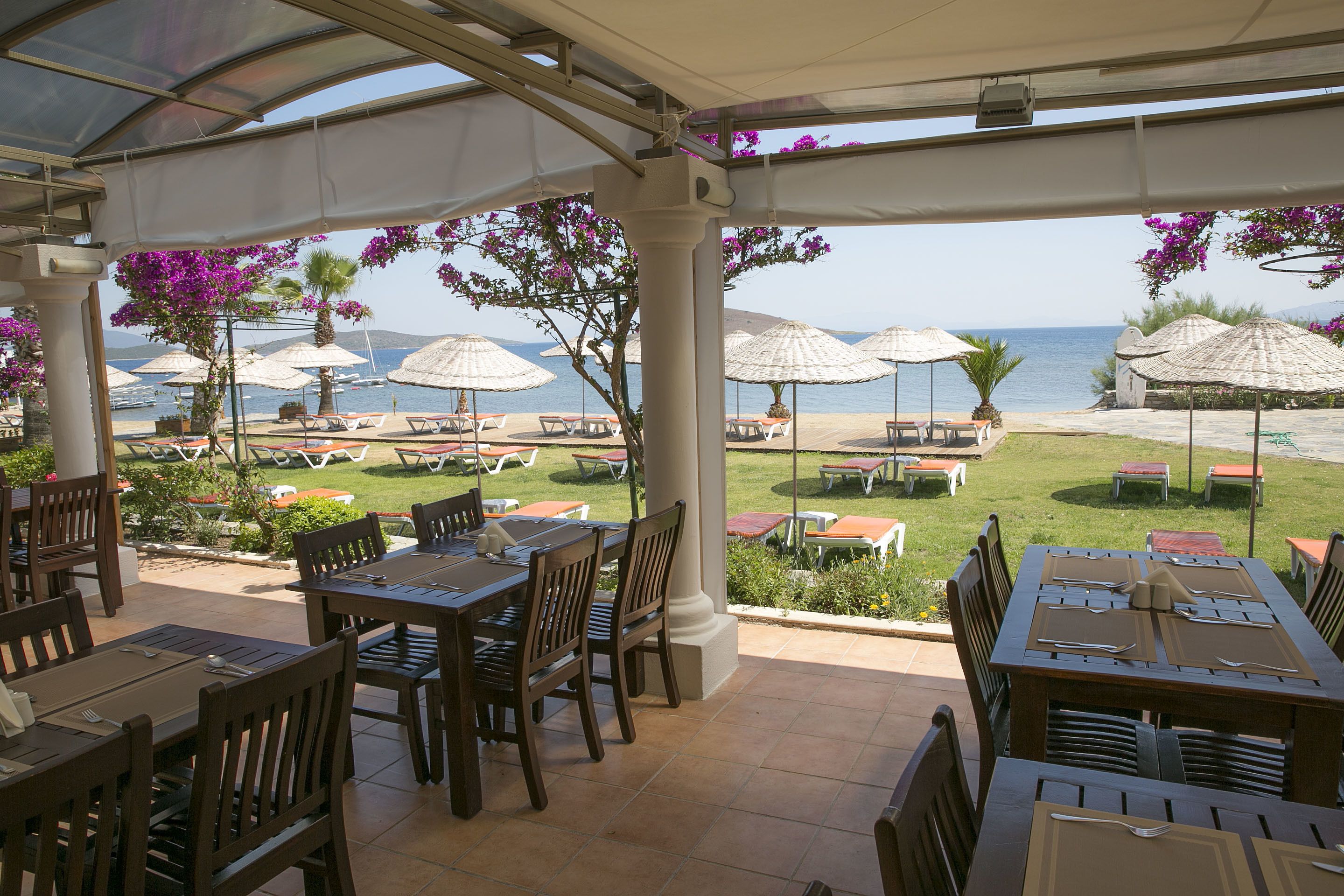 An outdoor dining area with tables and chairs, umbrellas, and views of the sea.