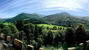 Vista de un exuberante valle verde con colinas onduladas y cielo despejado.