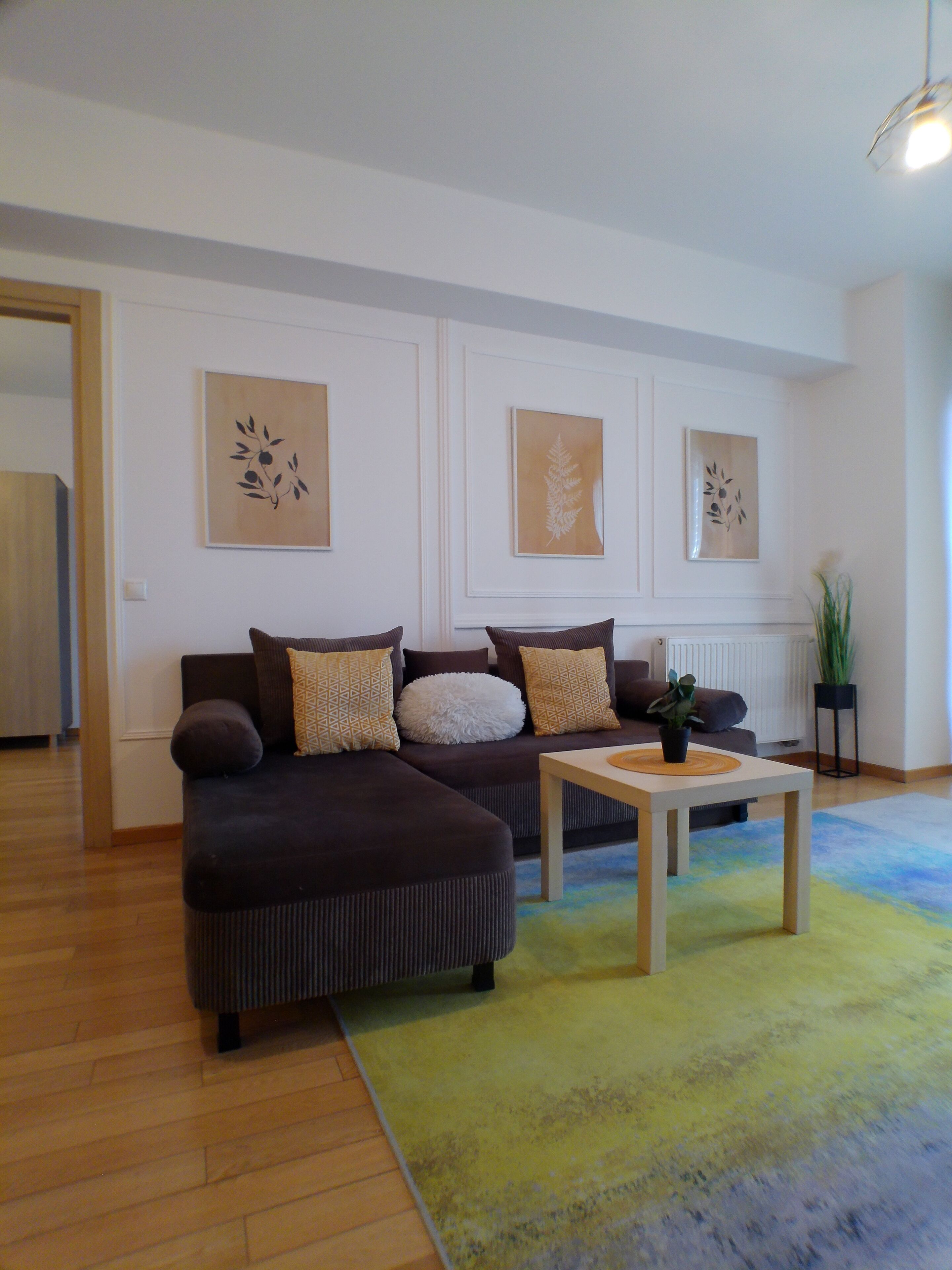 A living room with a dark brown sofa, a white coffee table, and a colorful rug. There are three wall-mounted artworks and a potted plant.