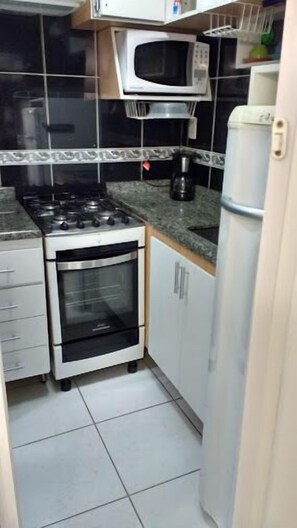 Traditional Apartment | Private kitchen | Fridge, microwave, oven