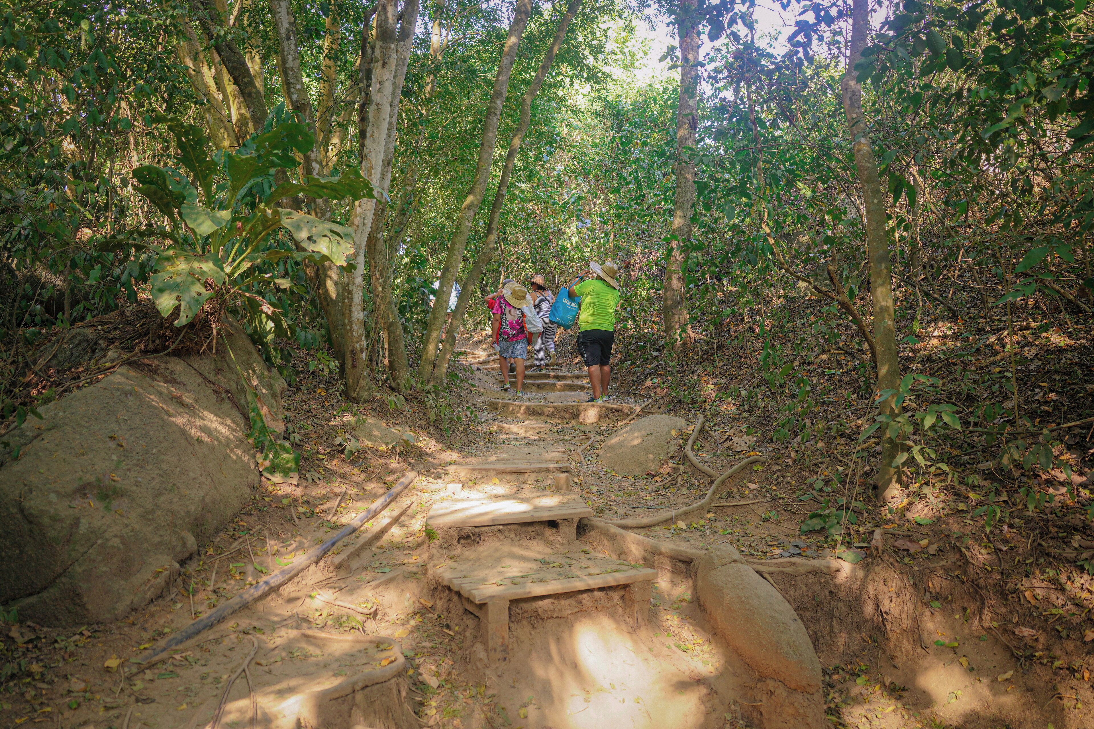 A forested hiking trail with wooden steps and natural surroundings.