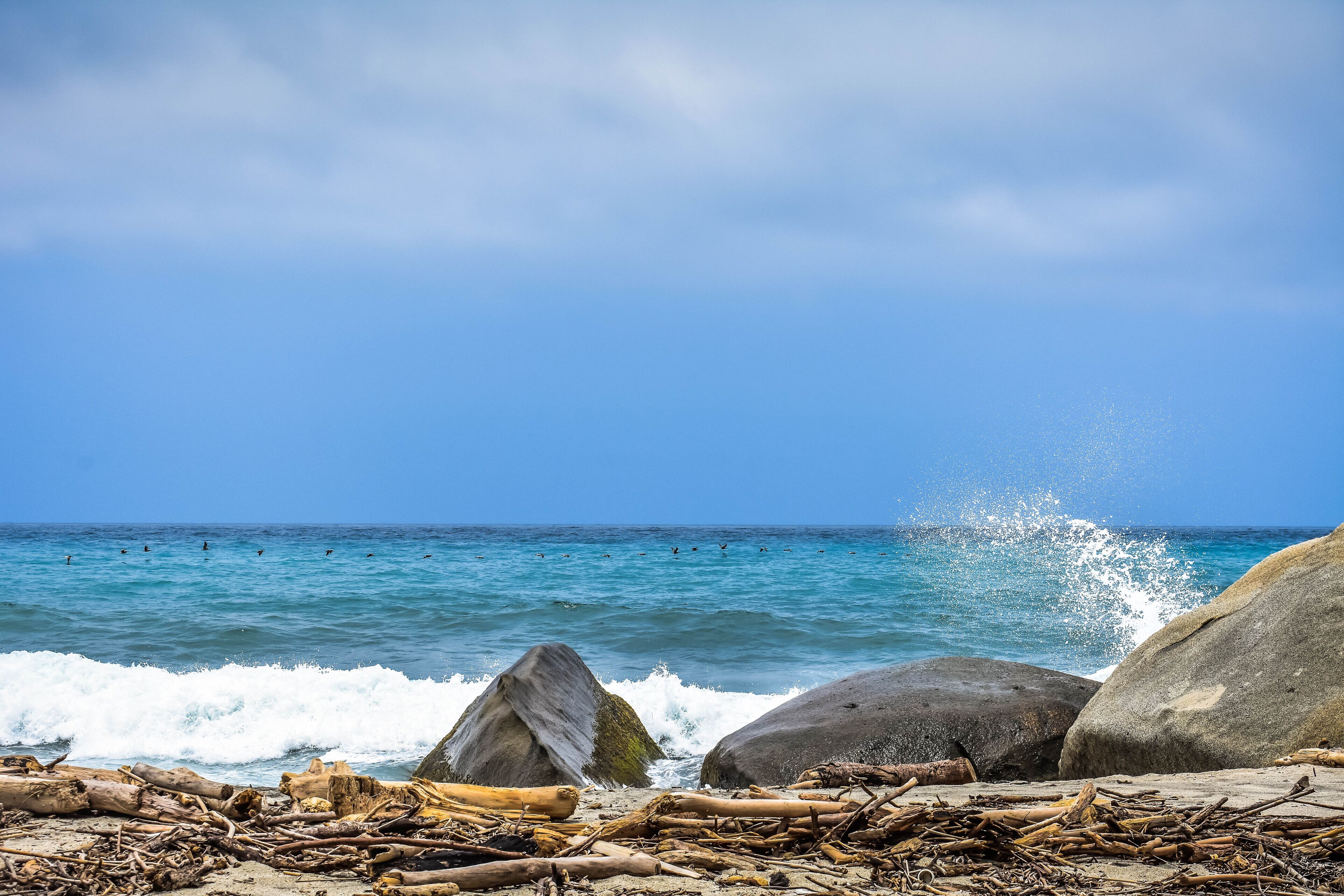 Una costa rocosa con olas rompiendo contra grandes rocas y madera a la deriva.