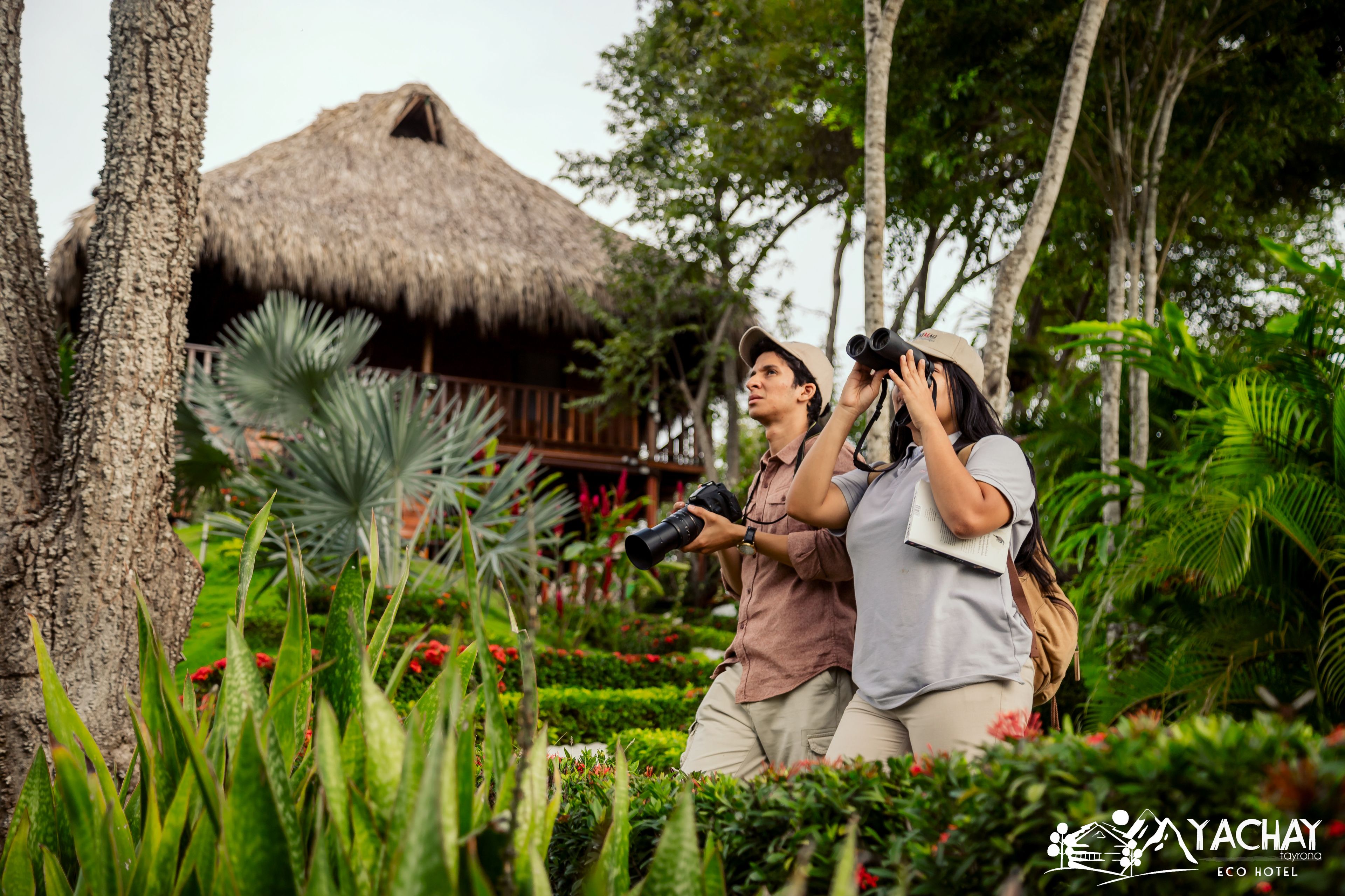 A lush garden with a thatched-roof structure, likely a part of a hotel or resort.