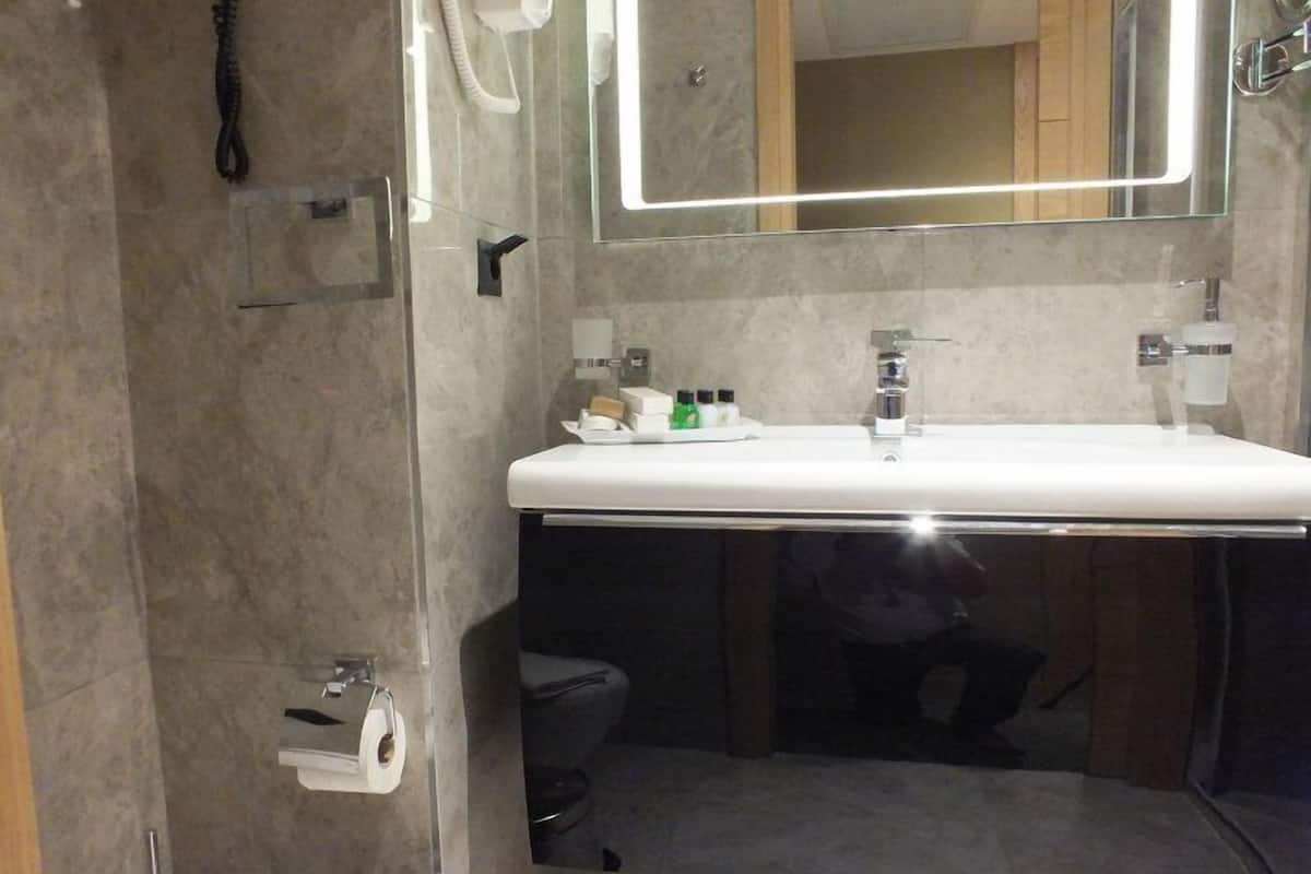 shower, free toiletries, hair dryer, slippers