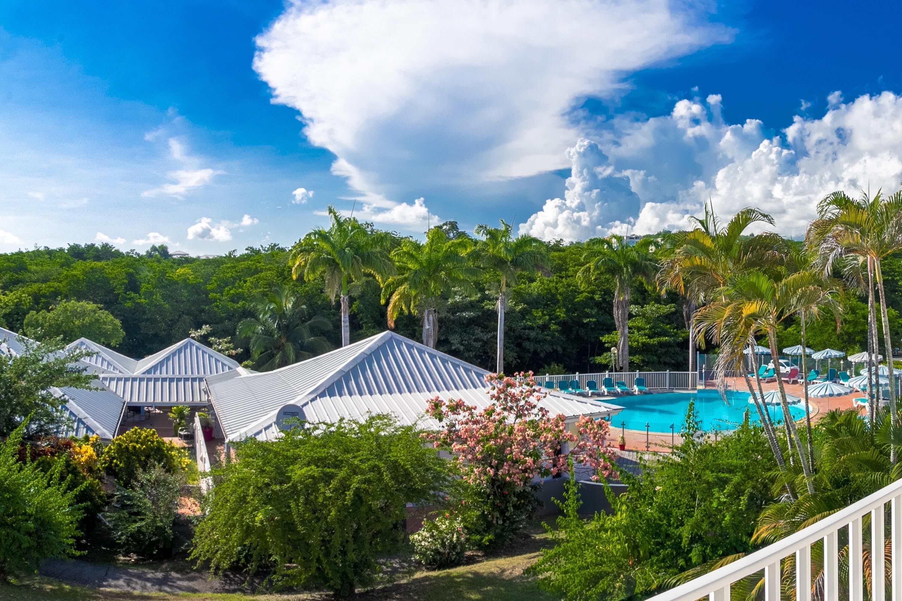 A resort with a swimming pool surrounded by palm trees and lush greenery.