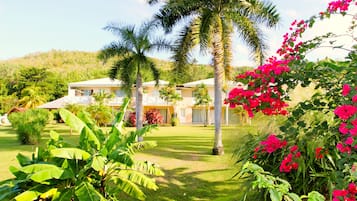 Jardín