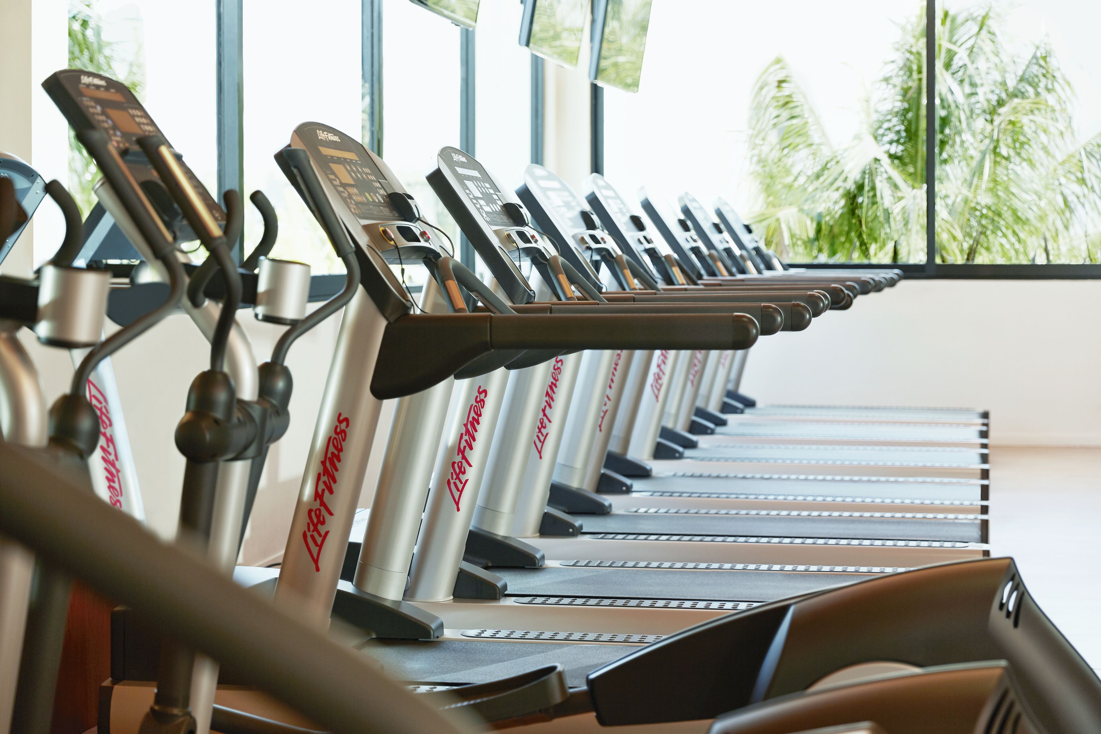 A row of Life Fitness treadmills in a gym with large windows and a view of palm trees outside.