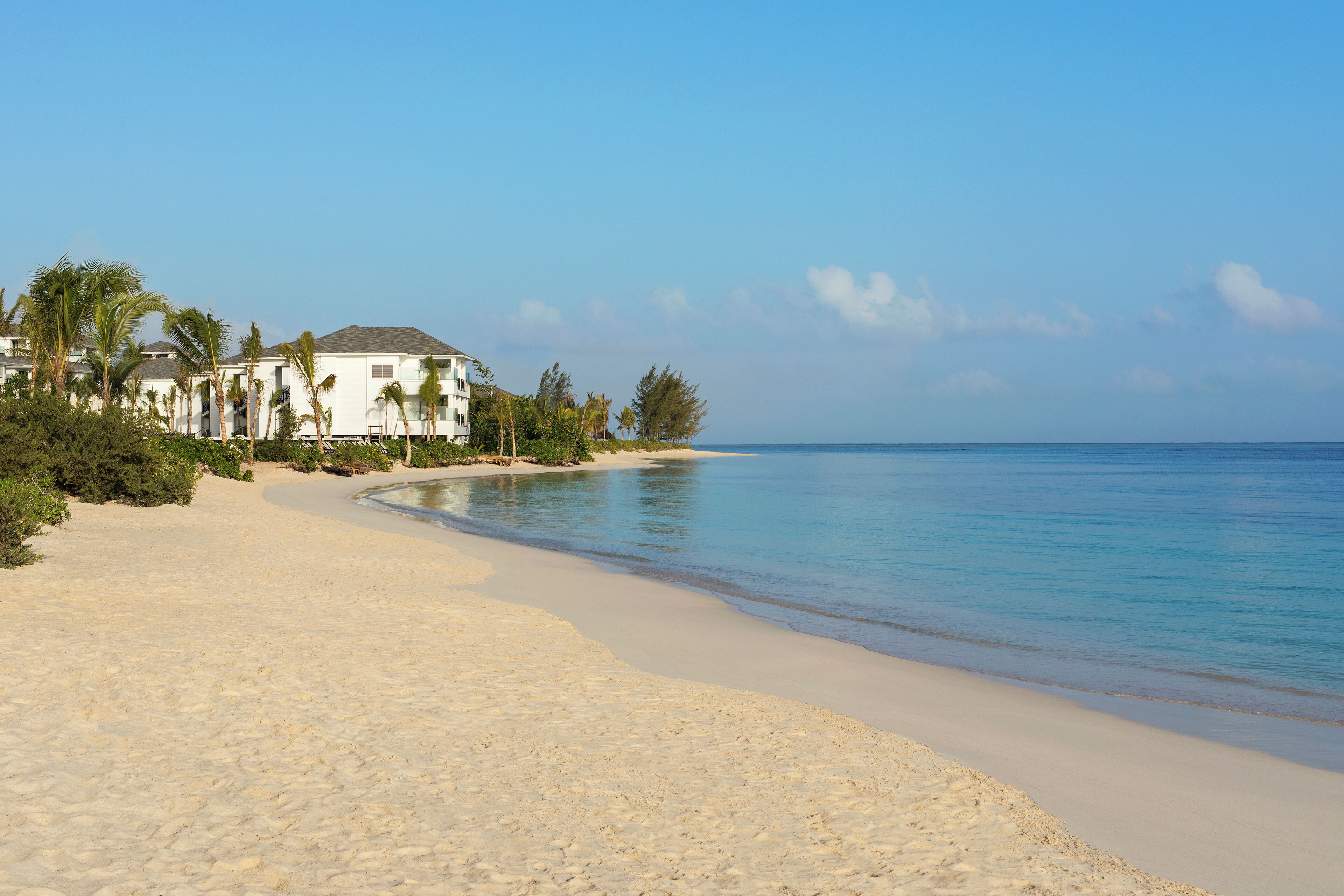 A beachfront property with a sandy beach, palm trees, and a clear blue sky.