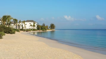 A beachfront property with a sandy beach, palm trees, and a clear blue sky.