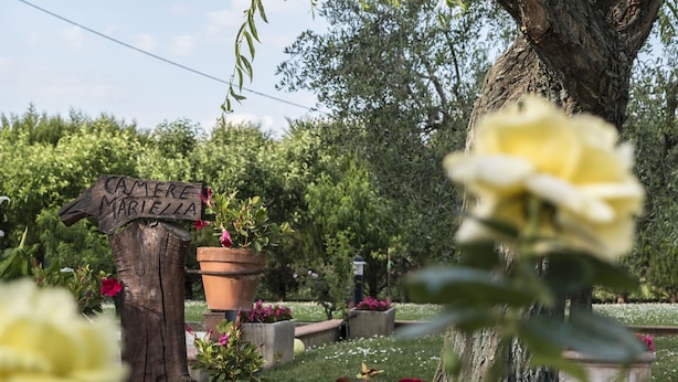 A garden with a wooden sign, potted plants, and a tree. - Camere Mariella (Assisi)