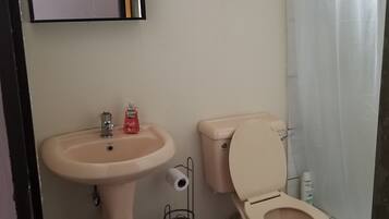 A bathroom with a sink, toilet, and shower curtain.