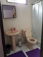 Un baño con lavamanos, inodoro y cortina de ducha.