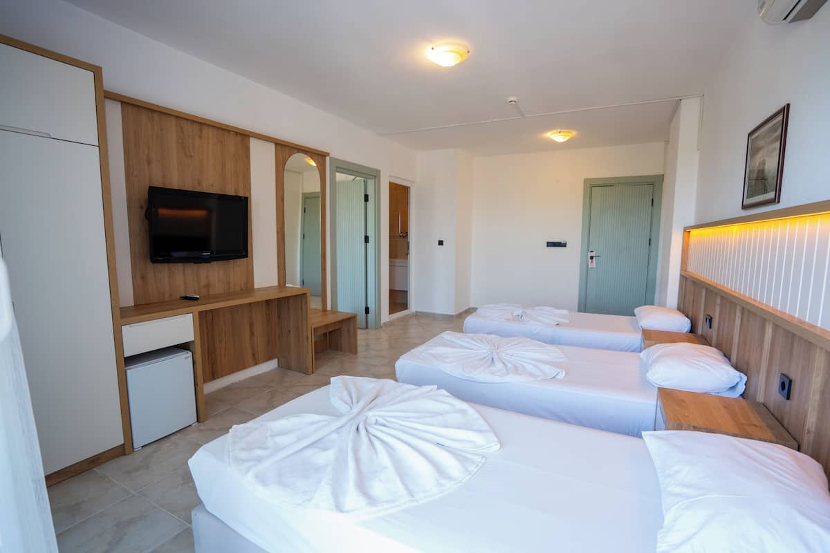 Minibar, free WiFi, bed sheets