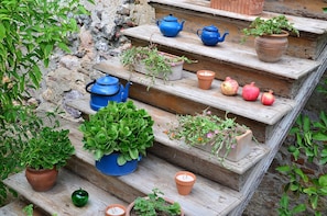 Detalle del exterior