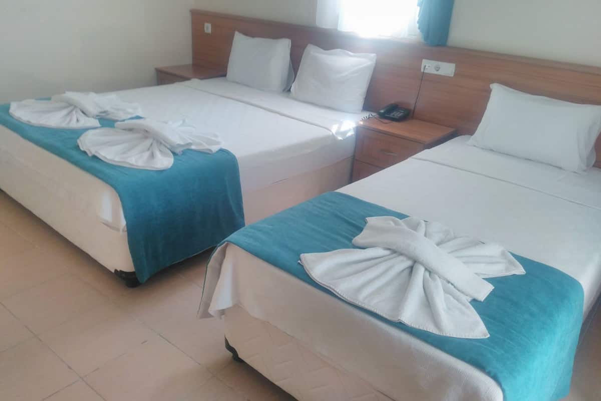 Desk, cribs (free), rollaway beds (surcharge), WiFi (free)