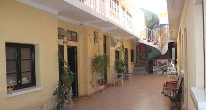 Hostal Coronel Pedro Arraya - Hostel