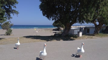 Nära stranden och strandhanddukar