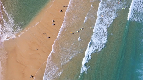 Beach nearby, white sand. VVF Landes Moliets
