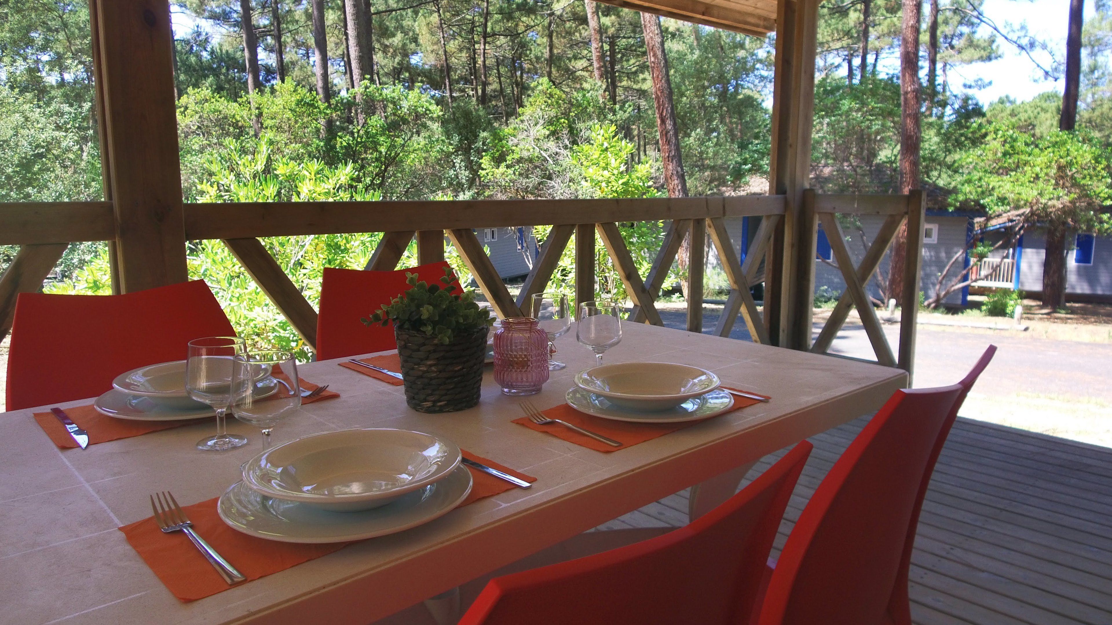 A table set outdoors with a view of a forest.