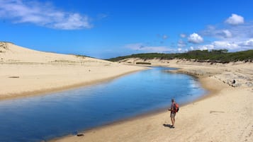 Gần bãi biển, cát trắng