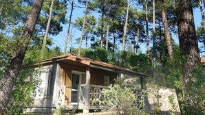 Una cabaña pequeña con fachada de madera, rodeada de altos pinos y un cielo azul despejado.