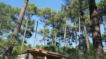 Chalet, 2 Bedrooms (5 Pers) | Terrace/patio