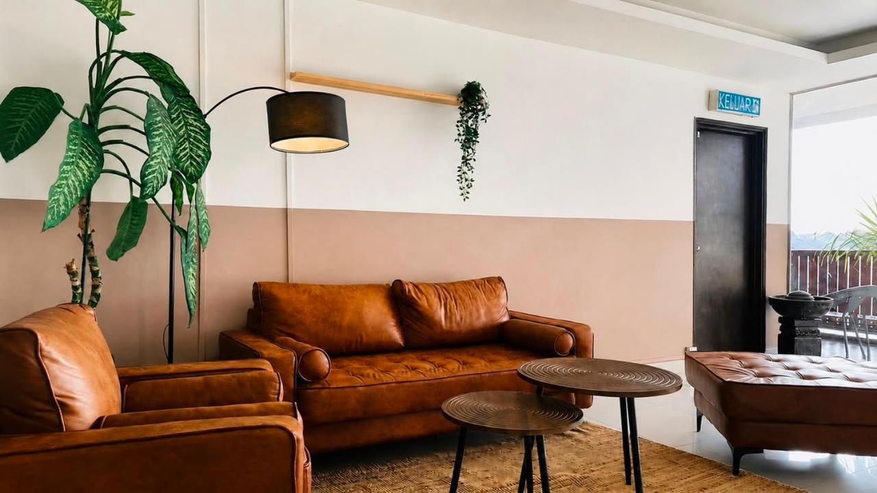 Una sala moderna con un sofá de cuero marrón, una mesita redonda y una planta verde grande.