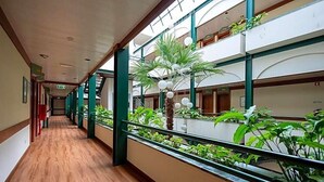 A corridor with wooden flooring, green railings, and indoor plants. - Universal (Terras de Bouro)