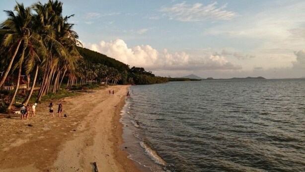 A beach with palm trees and a clear sky.