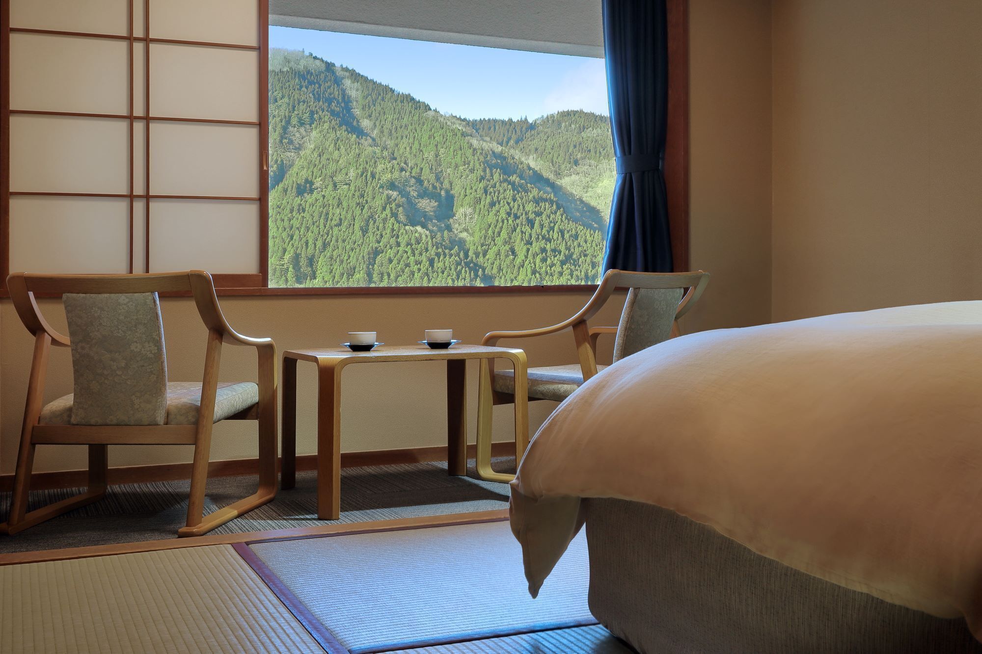 Habitación de hotel con cama, dos sillas, una mesita y vistas a una montaña boscosa.