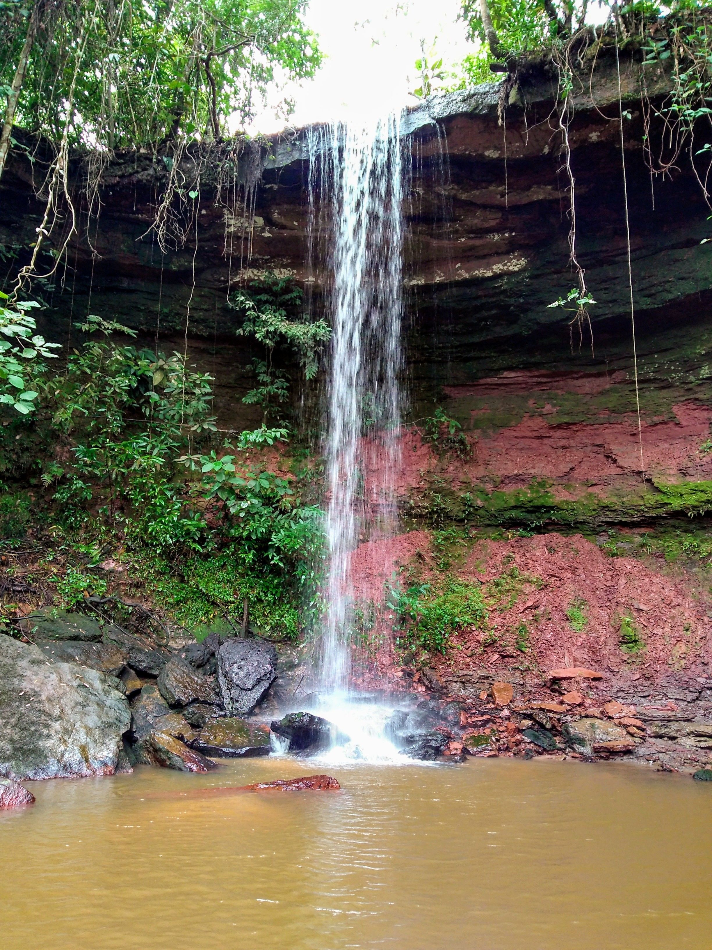 Foto - Pousada Jardim da Chapada