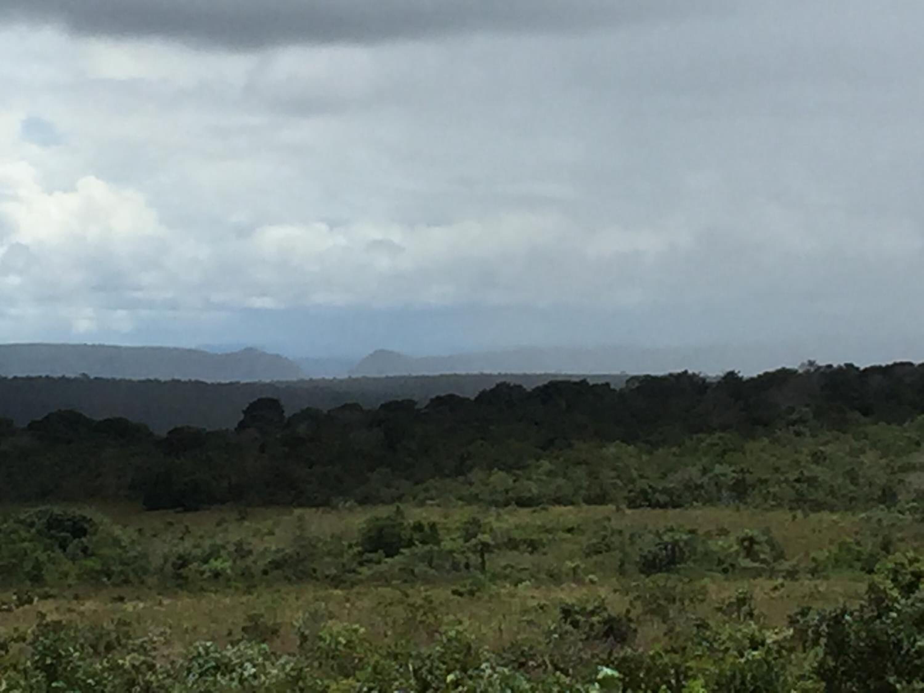 Un paisaje con terreno montañoso y vegetación densa.