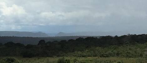 Un paisaje con terreno montañoso y vegetación densa.