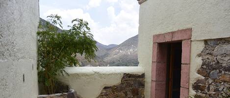 Suite superior (King #10) | Terraza o patio